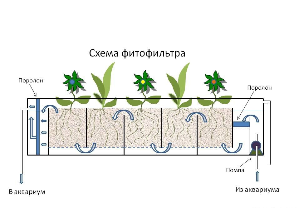 Схема укладки грунта в аквариуме