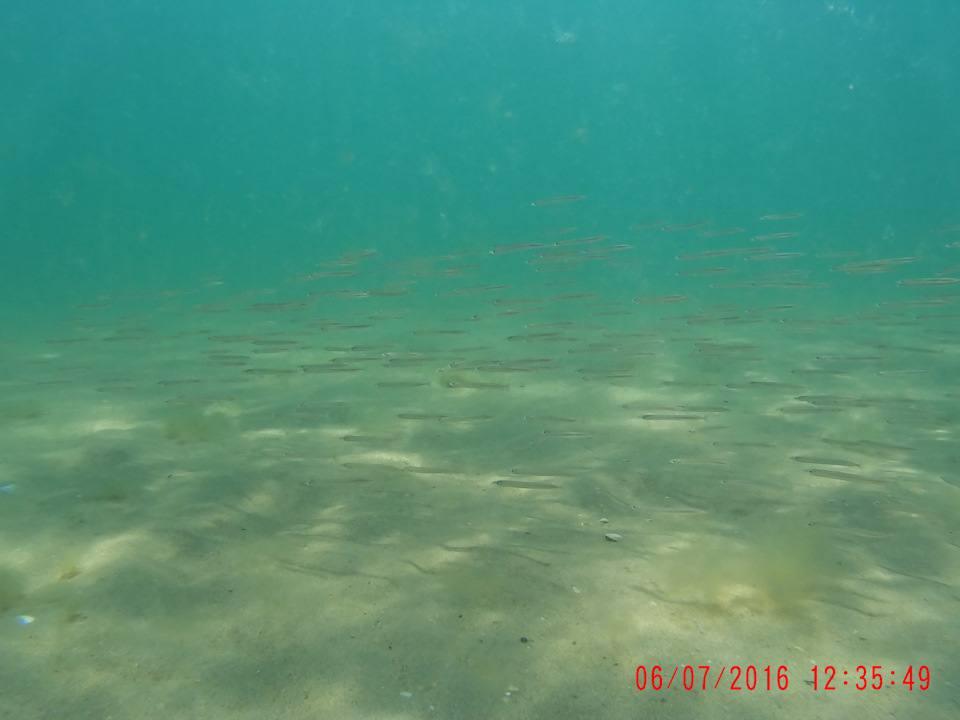 Фото в бортжурнале SsangYong Kyron