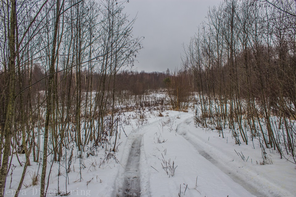 Фото в бортжурнале УАЗ Patriot