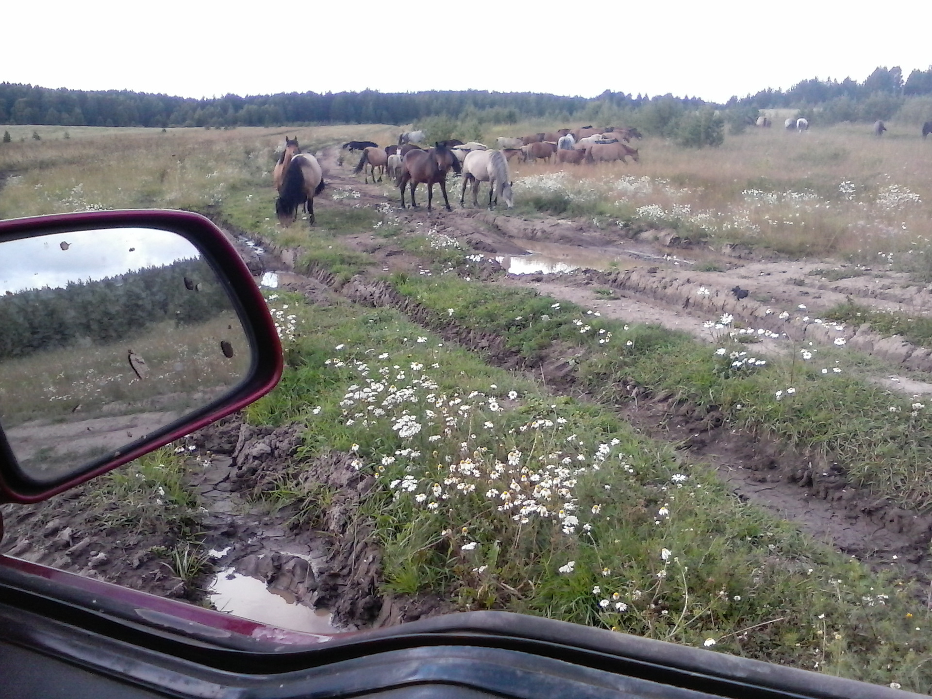 Погода в узянбаше на 10. Большой камень Узянбаш.
