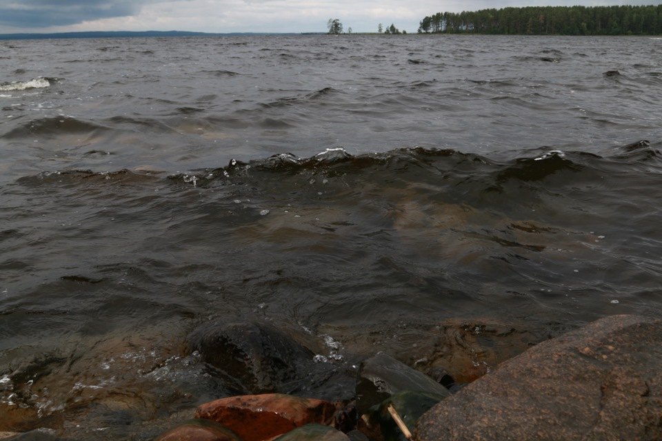 Вода в онежском озере температура сегодня. Донные отложения озера Онежского. Вино на Онежском озере. Деревня Голяши на Онежском озере. Черные Пески Онежское озеро.