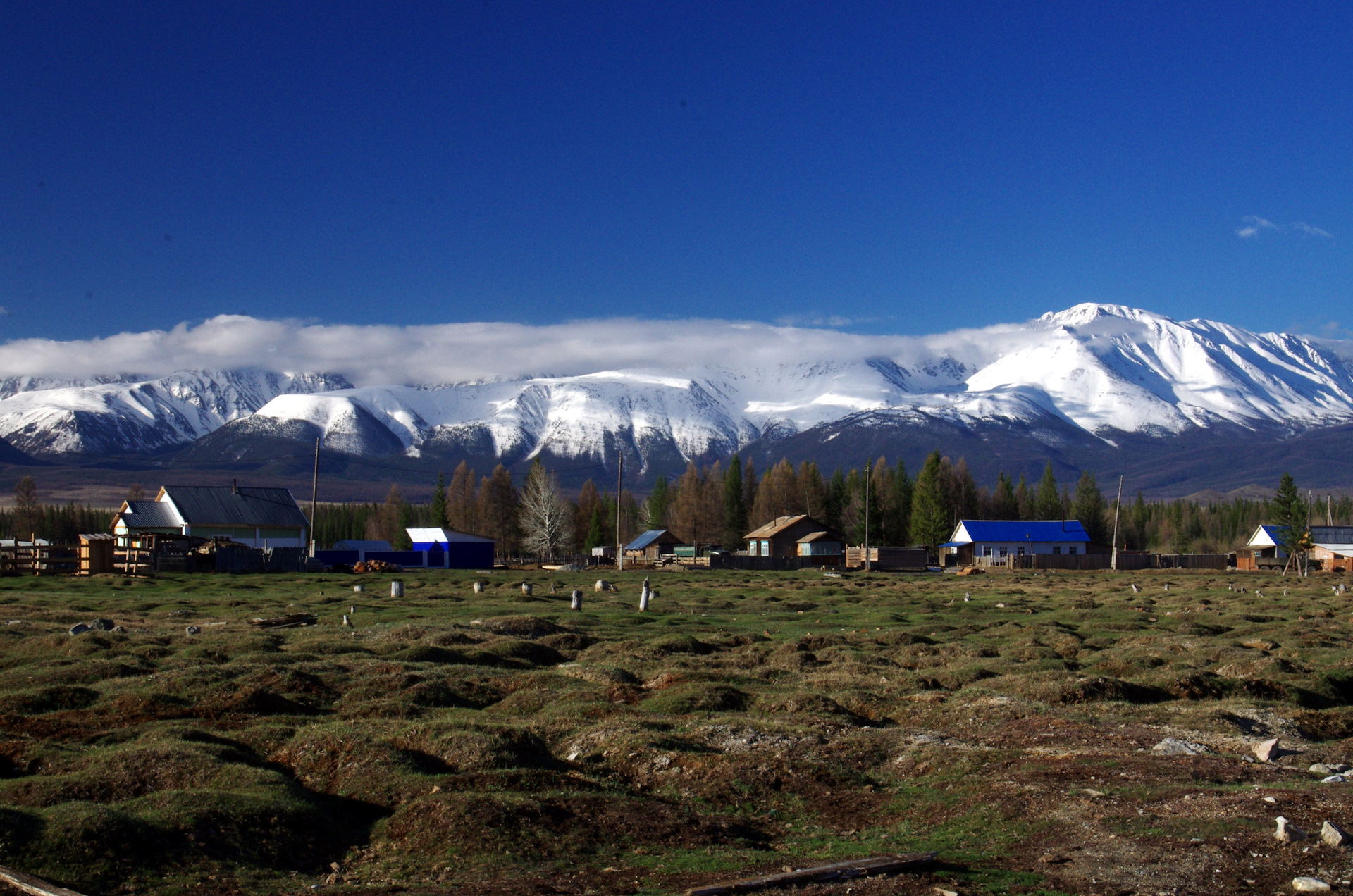 Село алтай. Курай горный Алтай. Курай село Алтай. Поселок курай. Село курай Республика Алтай достопримечательности.