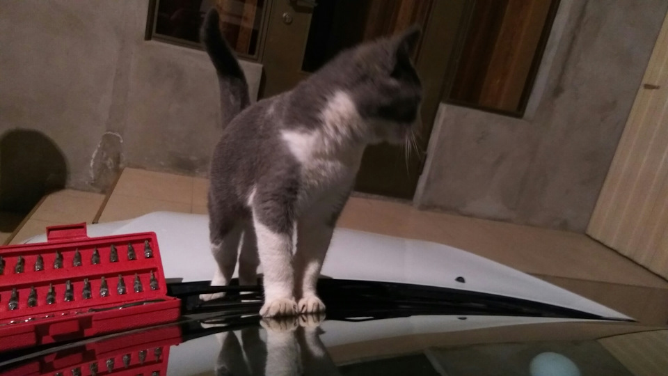 Фото в бортжурнале Lada Granta