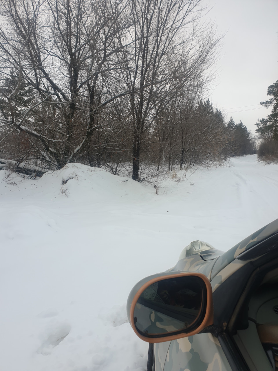 Фото в бортжурнале Nissan March (K12)