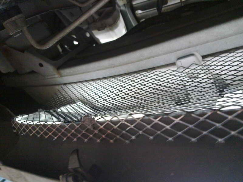mesh in the bumper - Toyota Corolla 15 L 2003