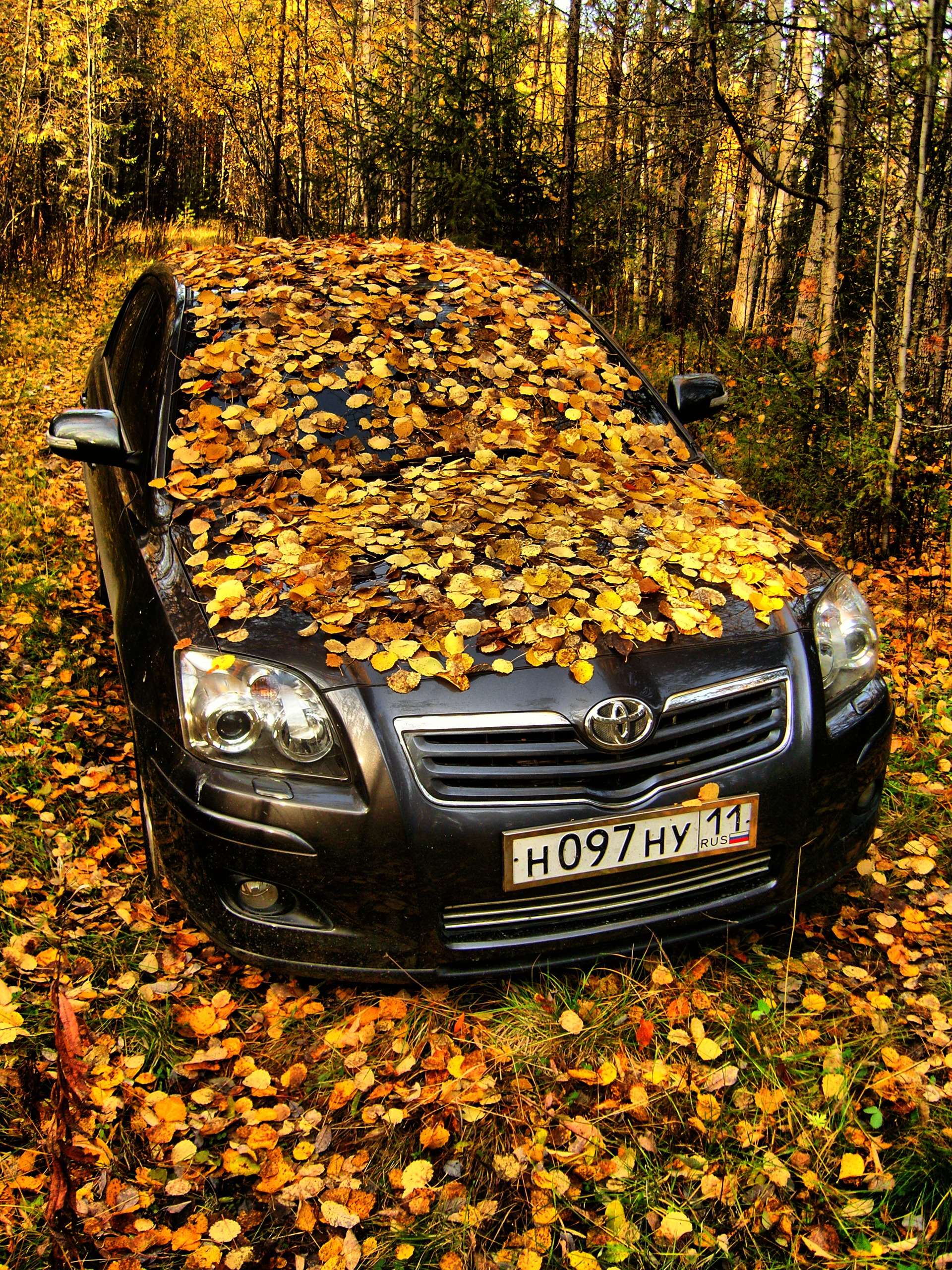       Toyota Avensis 20 2008