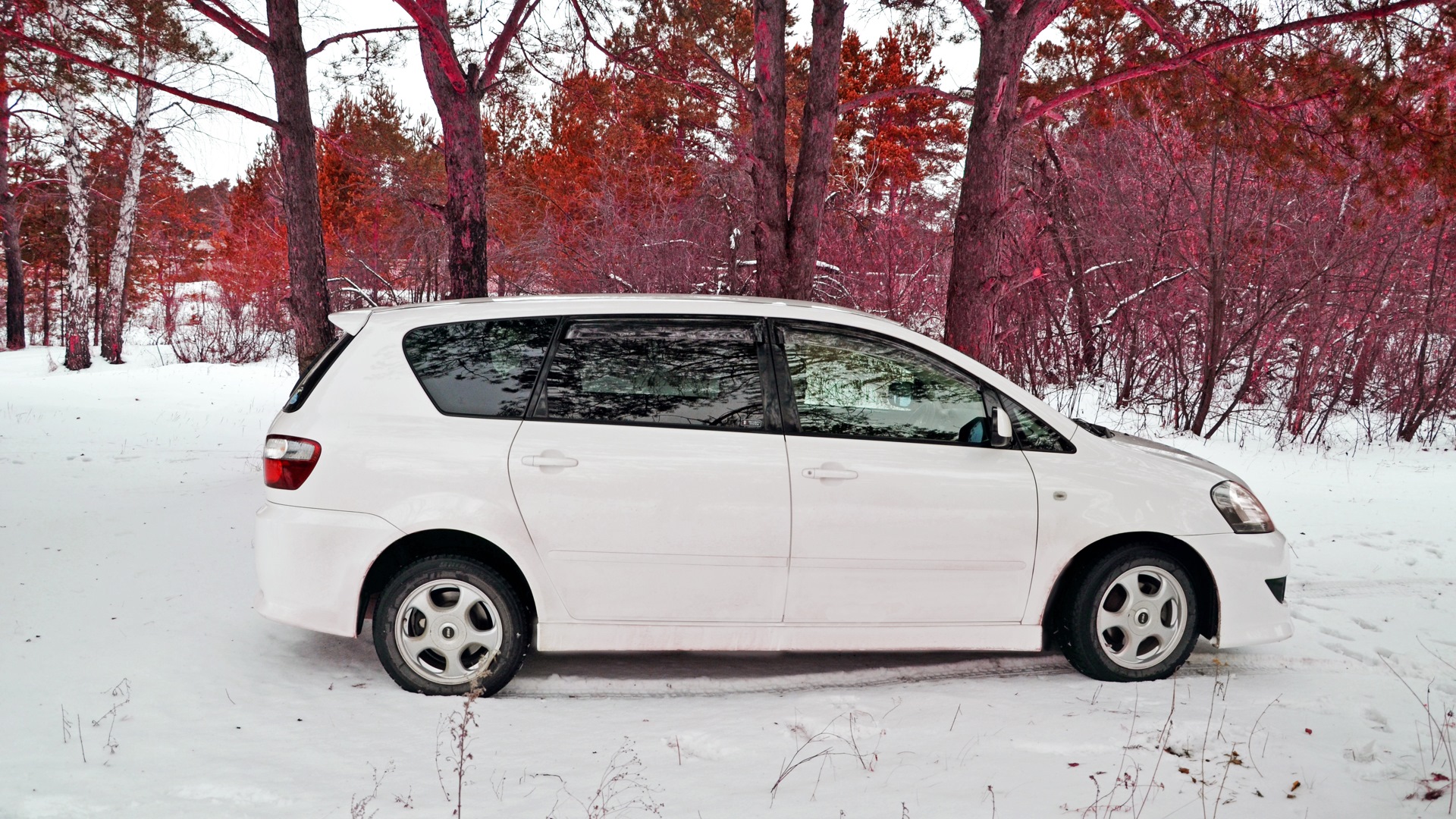 Toyota Ipsum (21) 2.4 бензиновый 2004 | -Ips Snow Sпорт-2.4 на DRIVE2