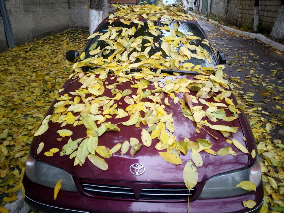 Опять осень — DRIVE2