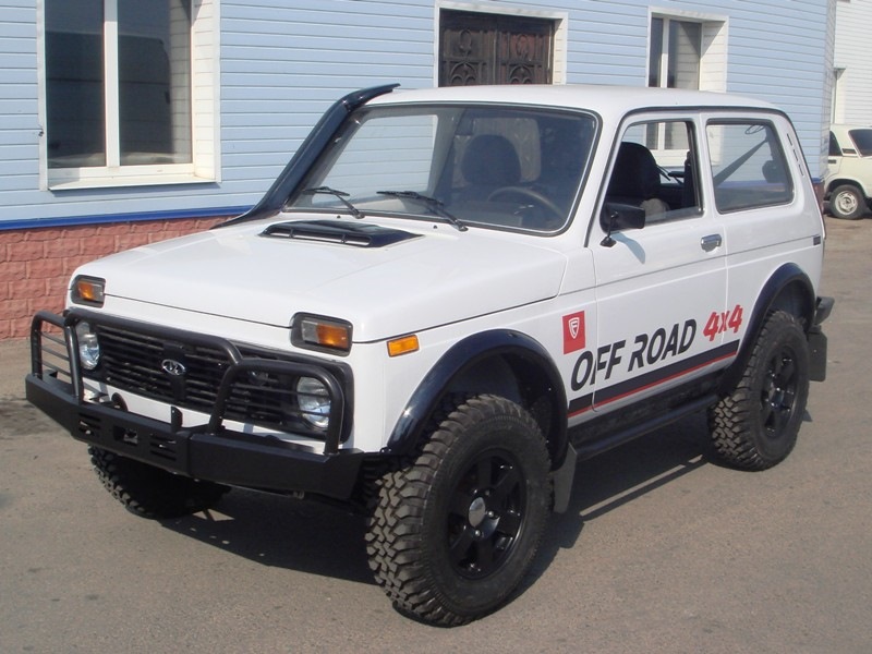 Наклейка на дверь на ниву. Наклейки для автомобиля нива. Молдинги на ниву ваз 2121 ваз 21213. Наклейки на машину нива. Стикеры нива.