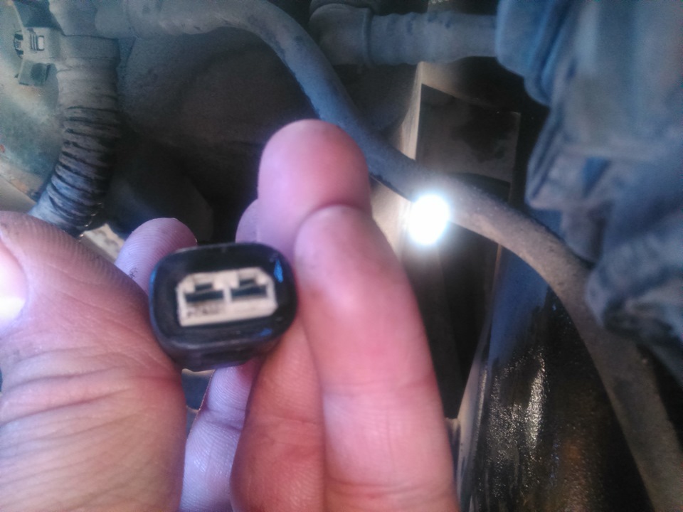 Подскажите что за одинокая клемма в районе гены, питание на ней есть ...