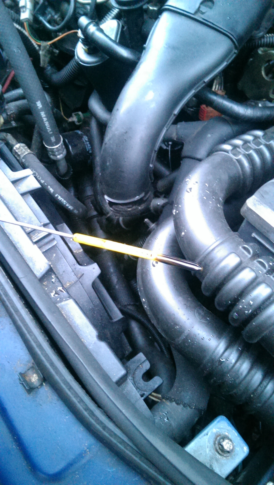 Полскажите по щупу от трафика, как у кого норм уровень масла? — Renault ...