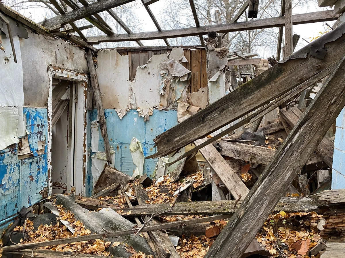 Тайга глухая безлюдная