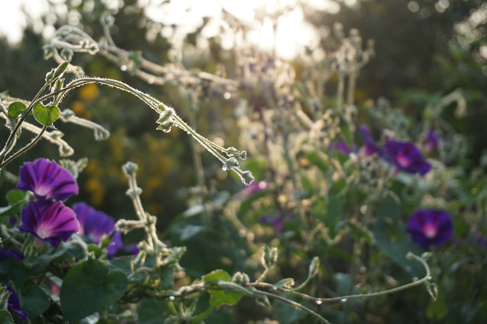 Фото в бортжурнале Nissan Murano II