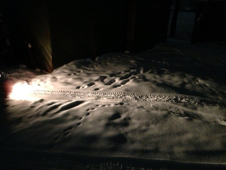 Фото в бортжурнале Renault Kaptur (2016)