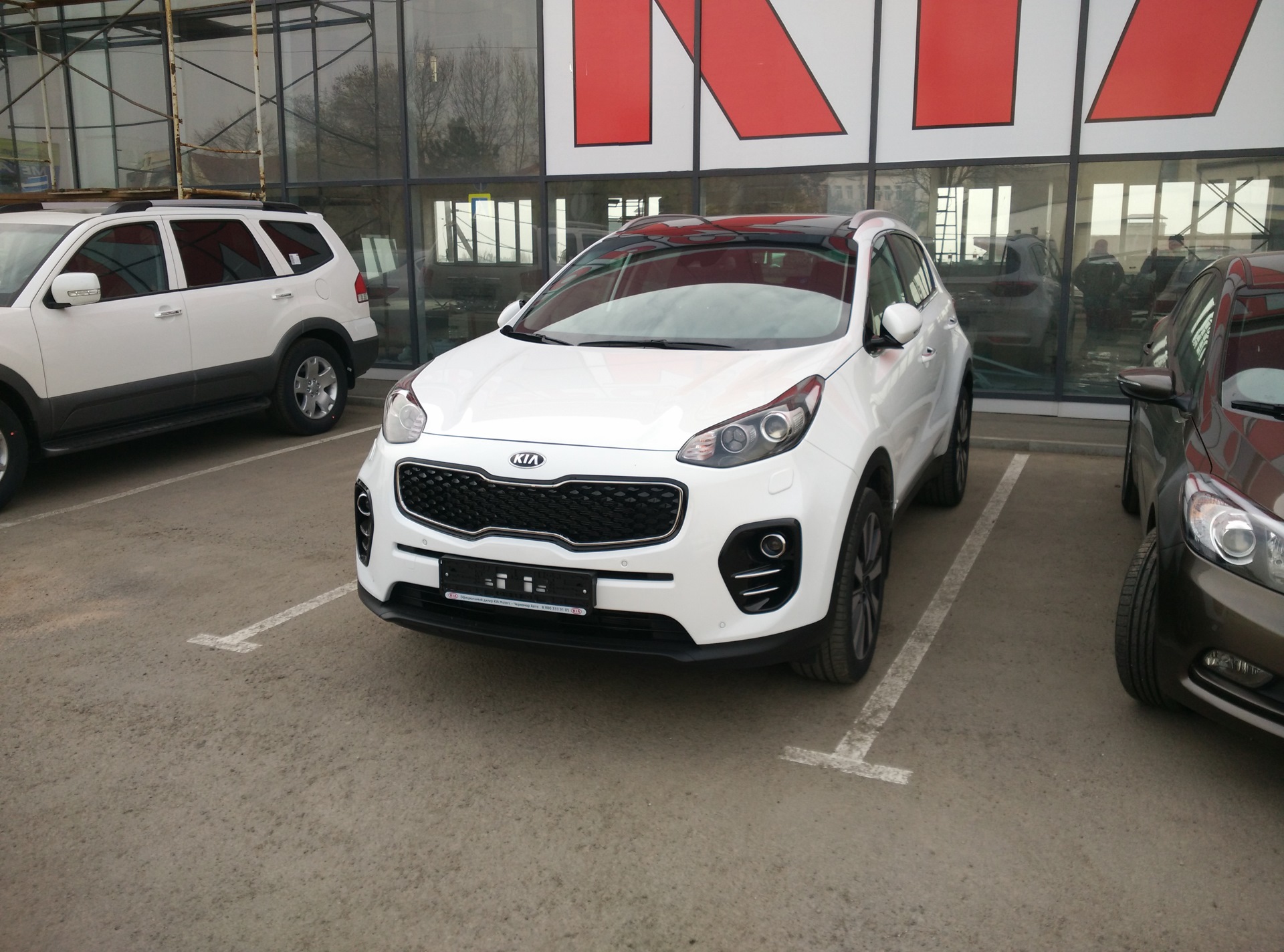 Тест sportage