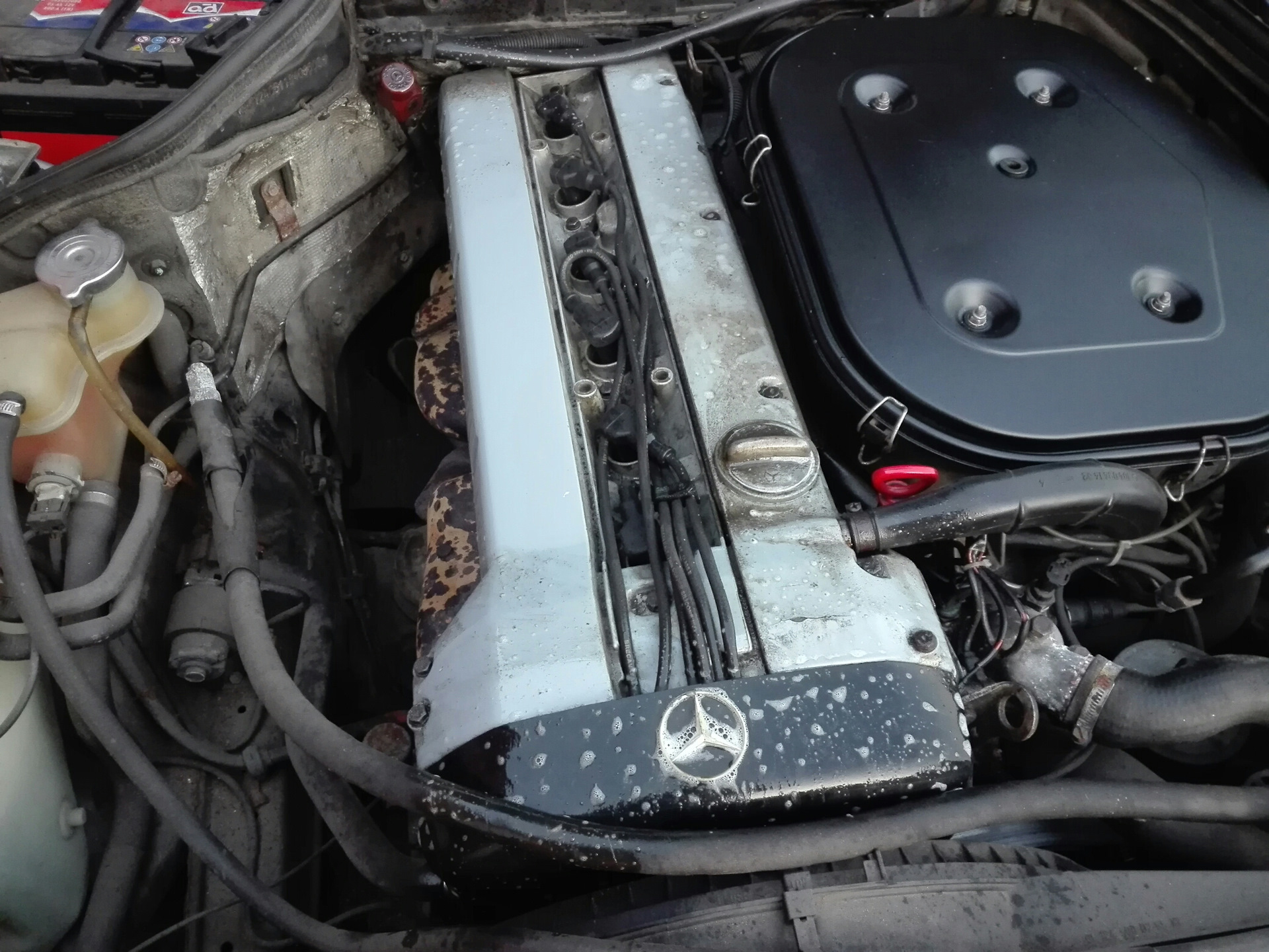 Покраска букв на клапанной крышке — Mercedes-Benz E-class Coupe (C124 ...