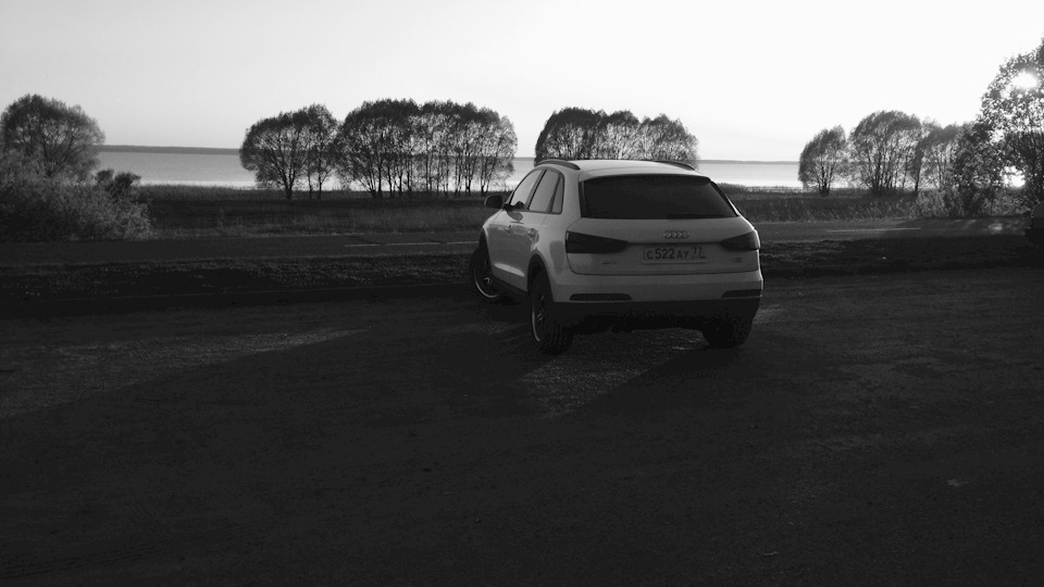 Audi Q3 (1G) 2.0 бензиновый 2013 | на DRIVE2