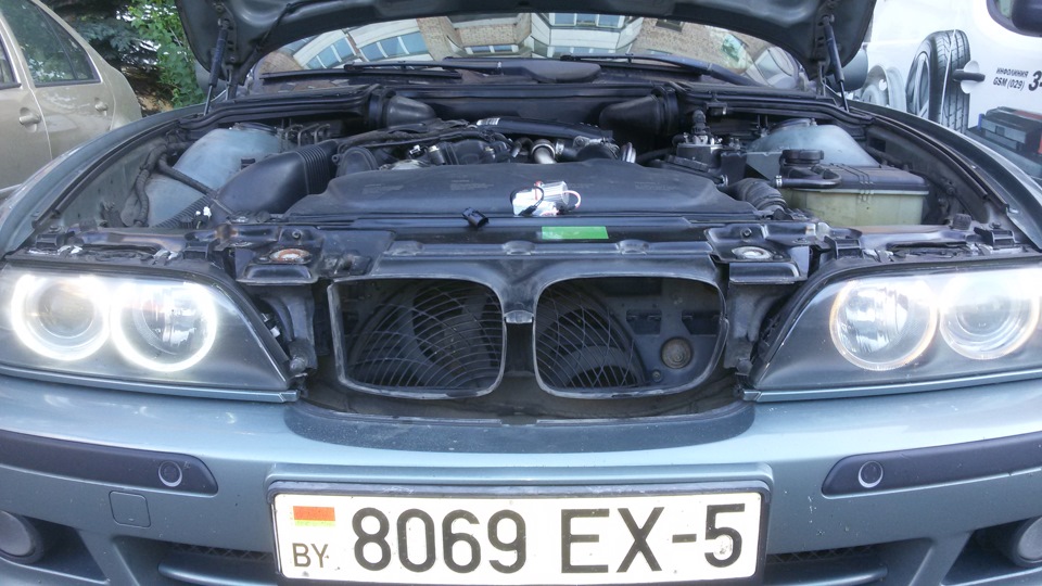 как установить ксенон на BMW e39
