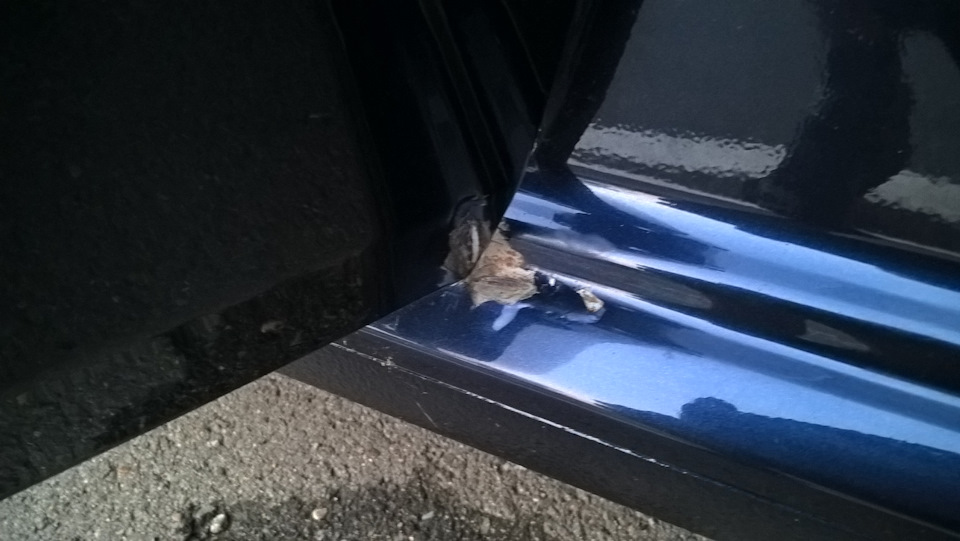 Фото в бортжурнале Volkswagen Polo Sedan