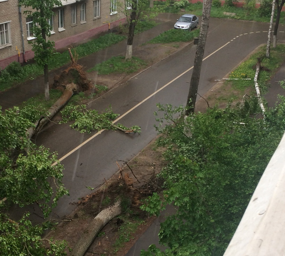 Почему синоптики не спрогнозировали ураган в Москве? — Сообщество «Курилка»  на DRIVE2