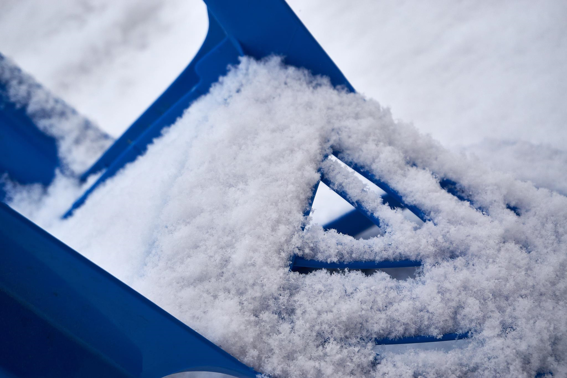 жил был снег. что живет в снегу. что живет в снегу. седая женщина у зимнего окна. жил был снег.