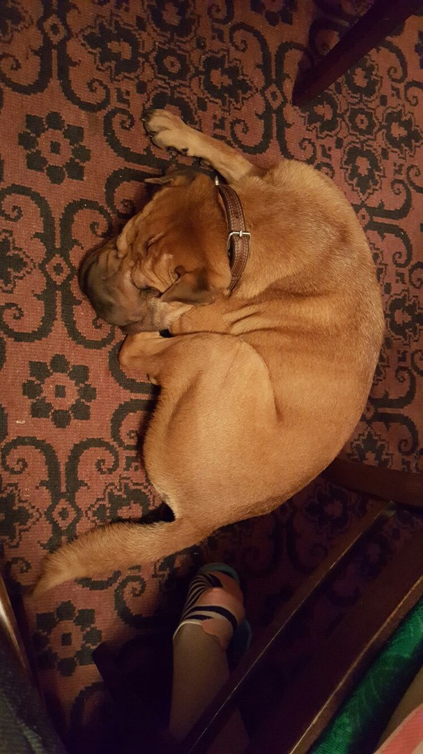 Фото в бортжурнале Jeep Grand Cherokee (WJ)