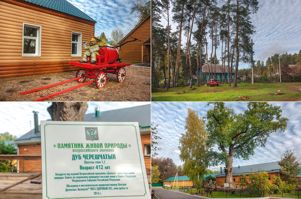 воронежский заповедник история создания. a699945s 960. воронежский заповедник история создания фото. воронежский заповедник история создания-a699945s 960. картинка воронежский заповедник история создания. картинка a699945s 960. Липецкая и Воронежская области воронежский заповедник история создания. a699945s 960. воронежский заповедник история создания фото. воронежский заповедник история создания-a699945s 960. картинка воронежский заповедник история создания. картинка a699945s 960. Липецкая и Воронежская области