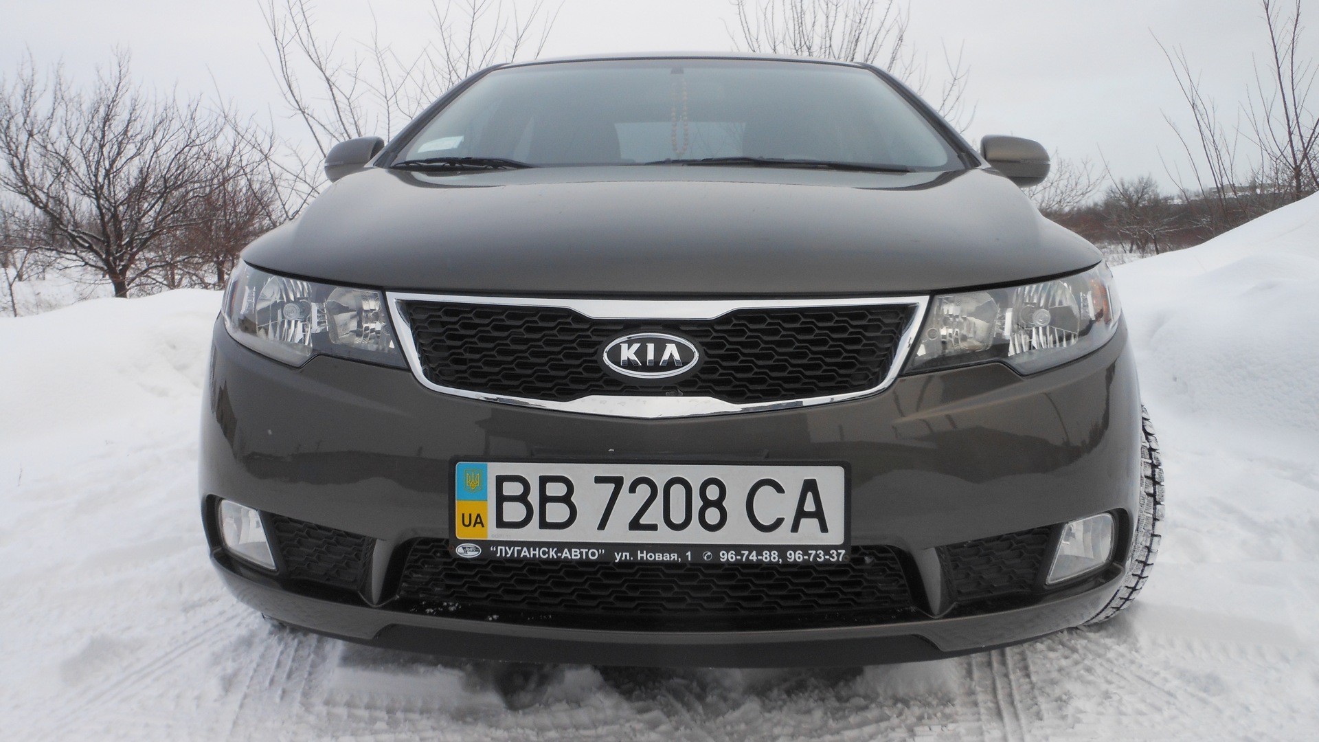 KIA Cerato (2G) 1.6 бензиновый 2011 | (metal bronze) на DRIVE2