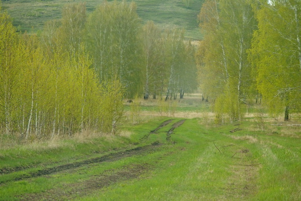 Фото в бортжурнале Subaru Forester (SG)