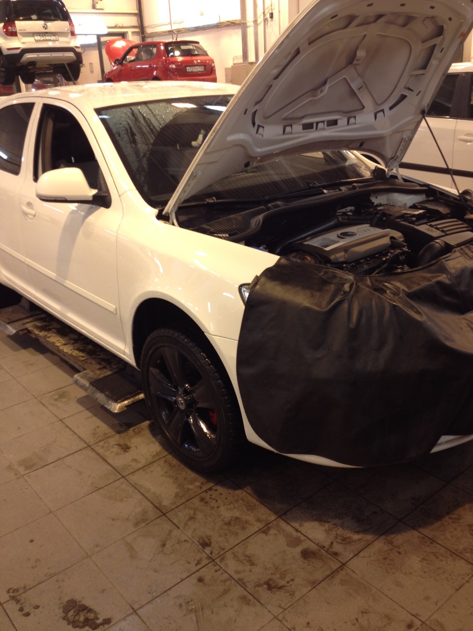 Замена масла в ДСГ ч.2, свечи, катухи R8, фильтр топливный — Skoda ...