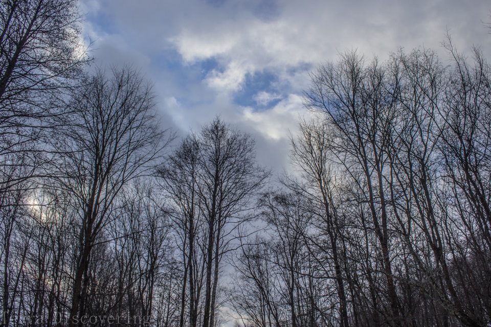 Фото в бортжурнале УАЗ Patriot