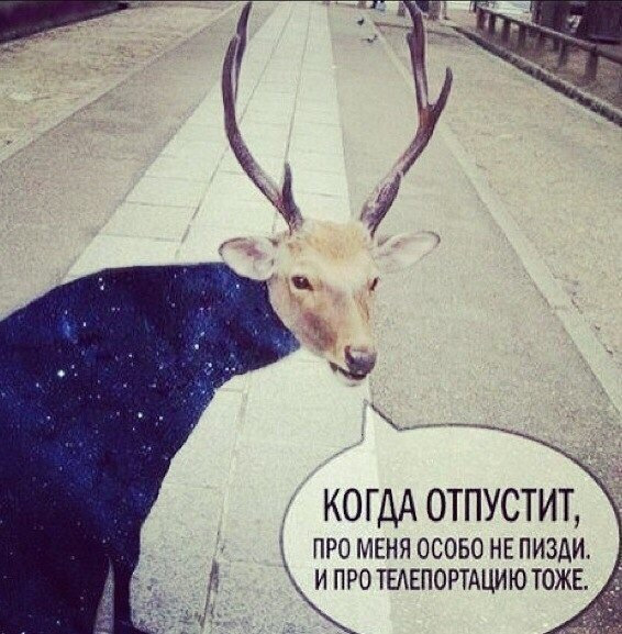 Скачай это бесплатное Фото на тему Не пущу мем и открой