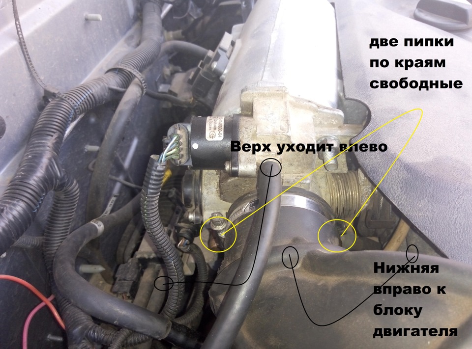 Дроссельная заслонка ваз 2112 16 клапанов схема шлангов