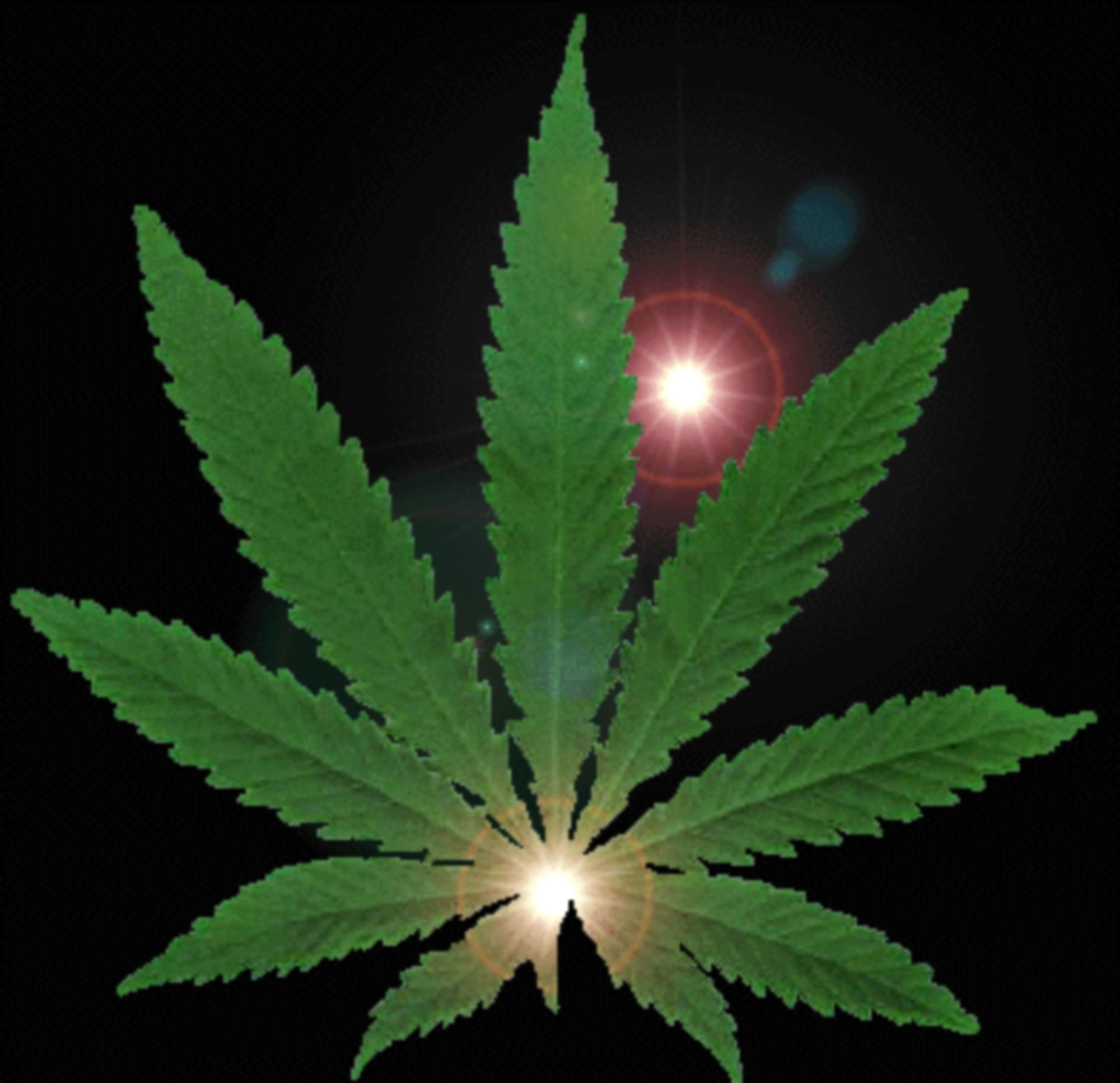 Маастрихт марихуана ссылки в даркнет hydra2web