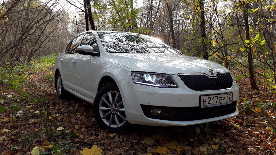 Skoda octavia 2. Skoda octavia 2016 1. 0 tdi. Octavia 2. 0 tdi.