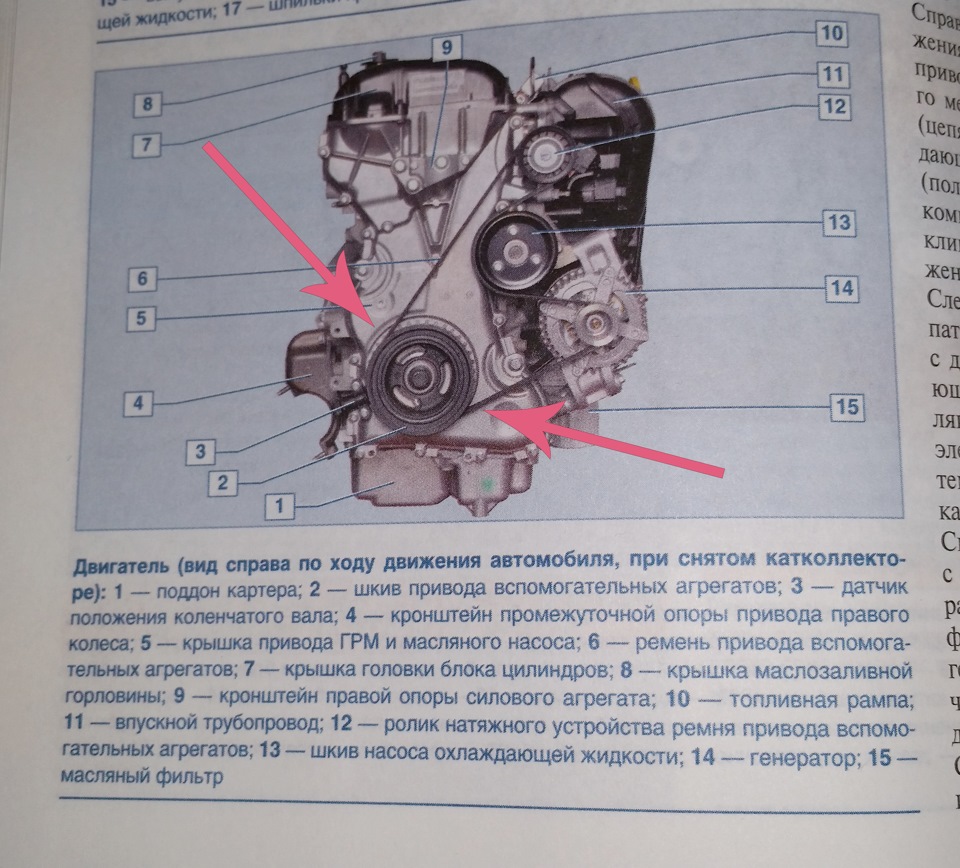 Привода вспомогательных агрегатов. Фокус 1 схема привода вспомогательных агрегатов. XRAY схема привода вспомогательных агрегатов. Вспомогательные агрегаты Форд фокус 2.
