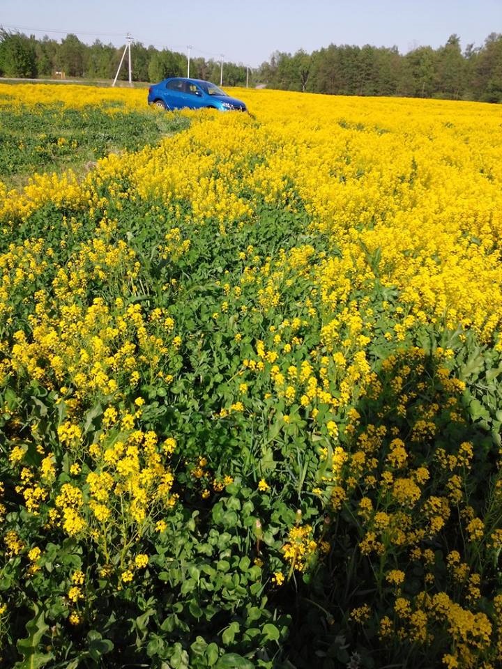 Рено Логан 2014 под капотом — DRIVE2