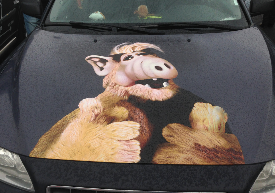 Фото в бортжурнале Volvo V50