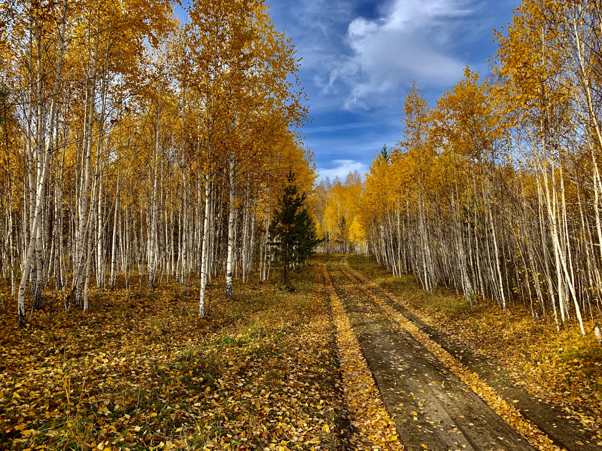 Теплого осеннего дня. Какой ждать октябрь. Октябрь в москве. Какой ждать октябрь. Октябрь в москве.