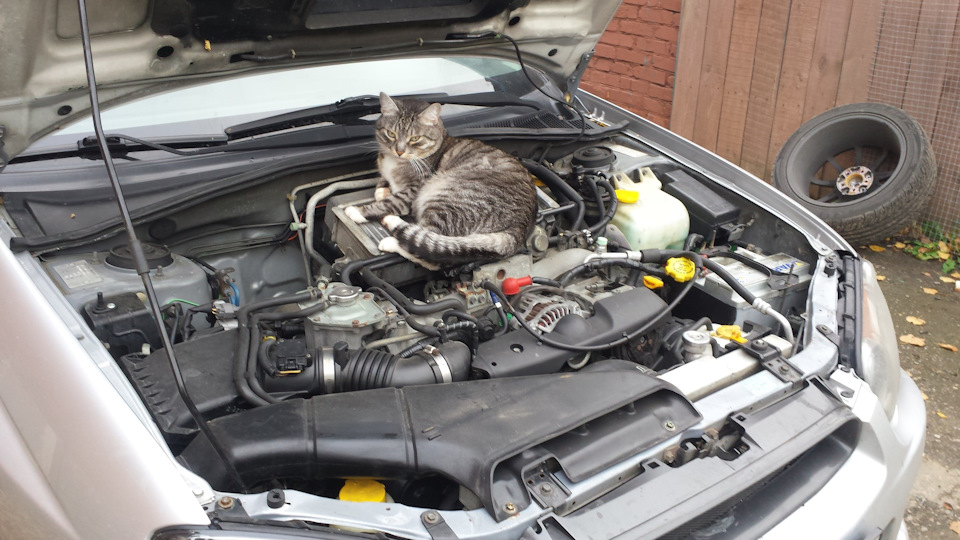 Фото в бортжурнале Subaru Impreza WRX (GD/GG)