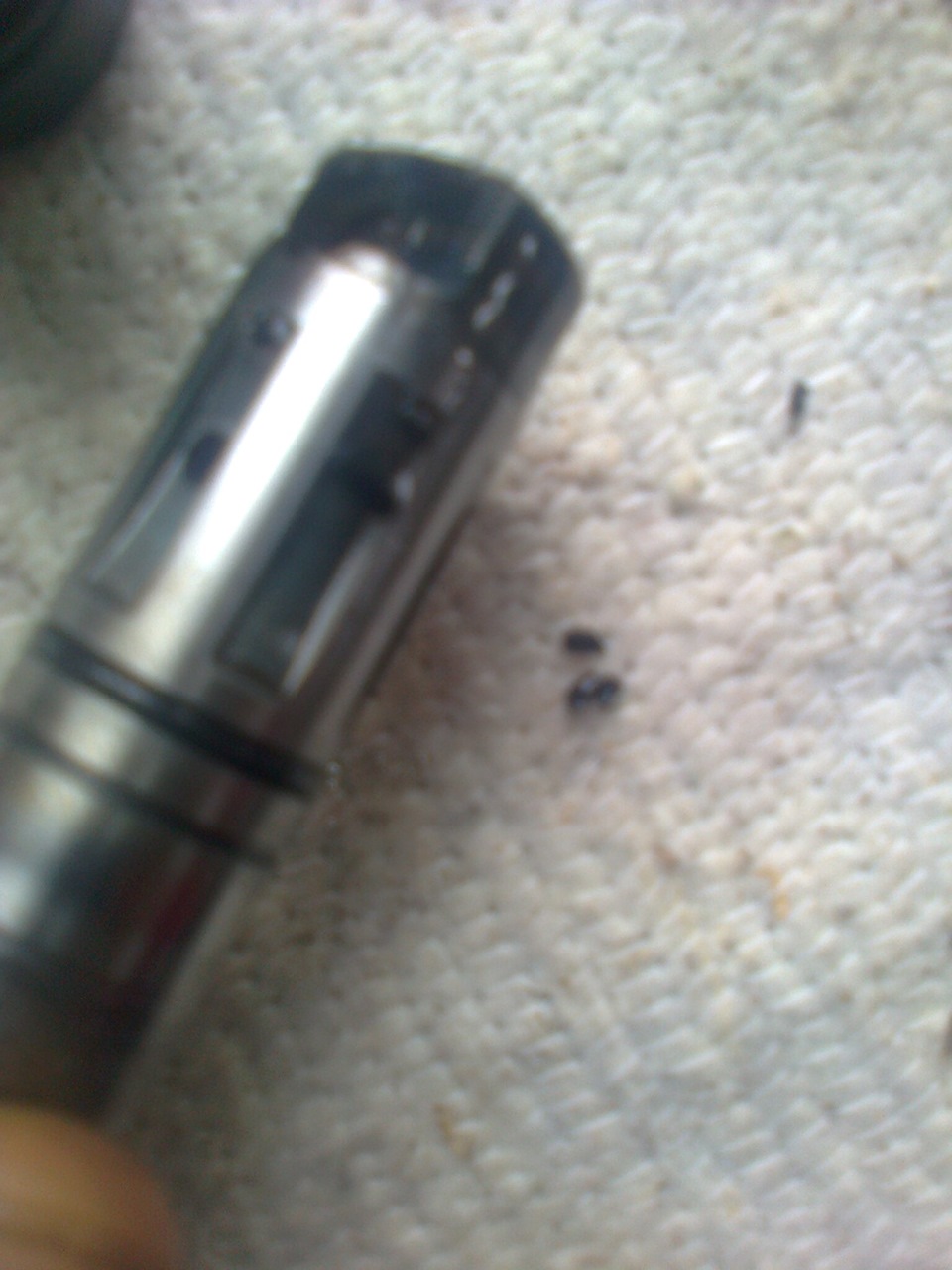 Фото в бортжурнале SsangYong Musso Sports