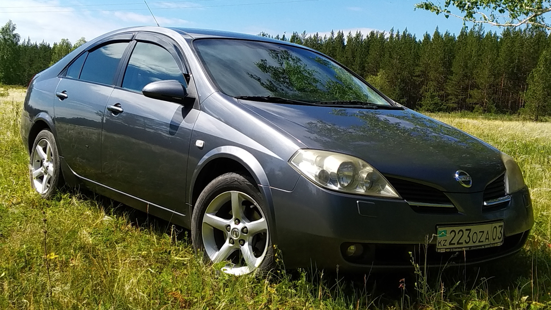 Ошибки nissan primera p12