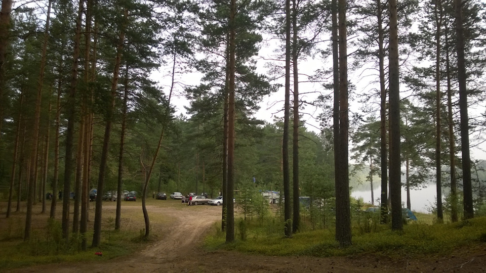 Фото в бортжурнале Audi 100 (C4)