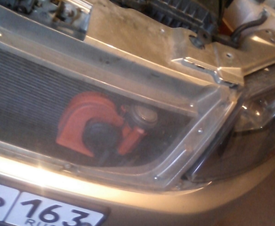 Сетка от жуков :) — Lada Гранта, 1,6 л, 2012 года | просто так | DRIVE2