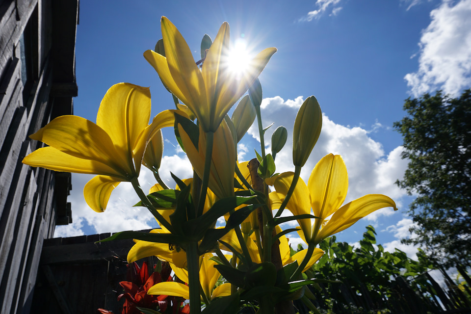 Фото в бортжурнале Nissan Murano II