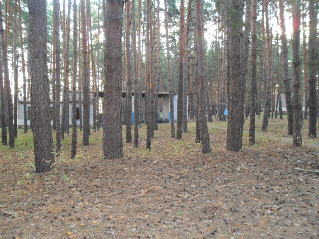 Лагерь сокол нижегородская область фото