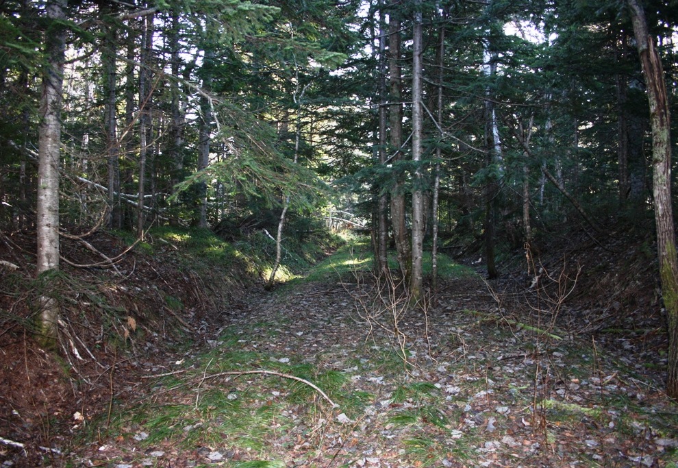 Фото в бортжурнале Nissan Safari (Y60)