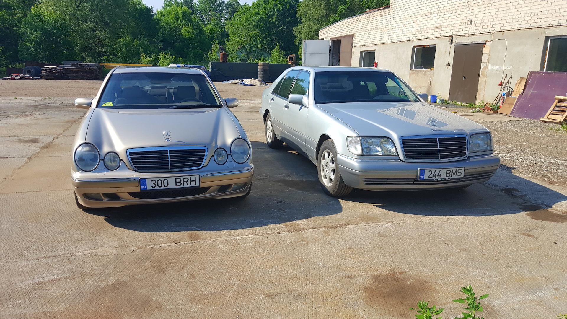 Mercedes Benz s class кабан