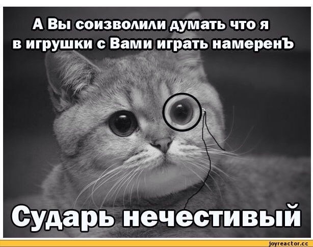 А вы думали это все. Кот сударь. Ты думал я в игрушки играю. Кот думает Мем. А ты думал я с тобой в игрушки играю.