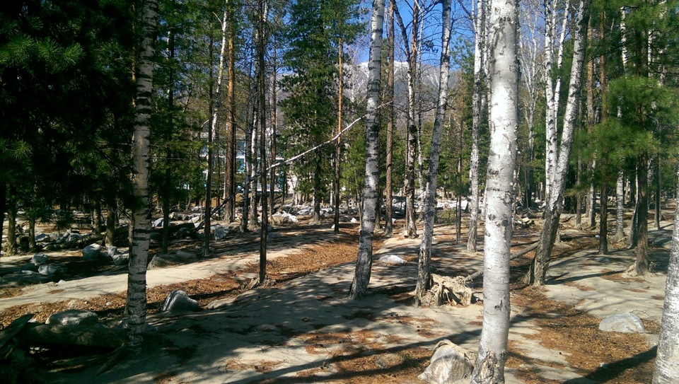 Усадьба сороковиковых аршан фото